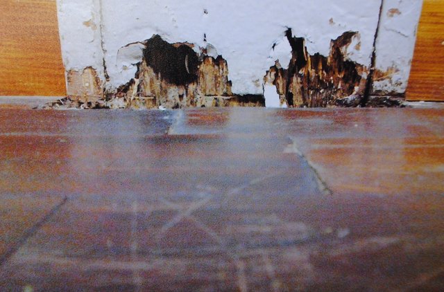 Die Festhalle: ein Relikt der Vorkriegsjahre
