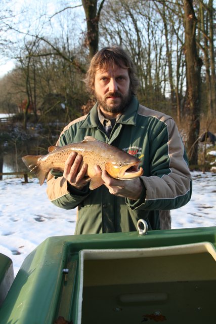 Rainer Meincke setzt den Fisch in ein Bassin, um ihn zum Ablaichen zu transportieren.