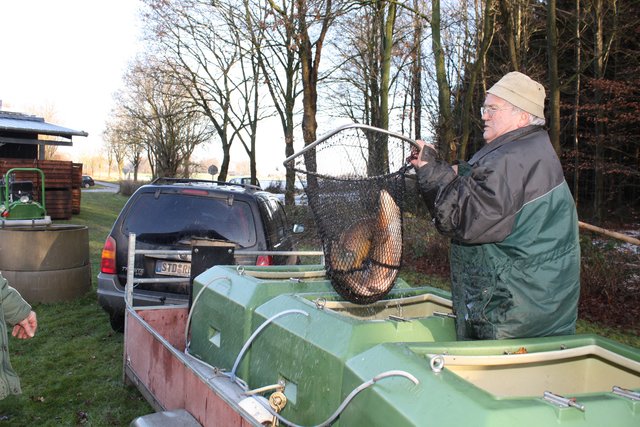 Bei der Fischzucht Hagedorn angekommen, werden die Fische von Gerhard Grimm aus den Behältern geholt.