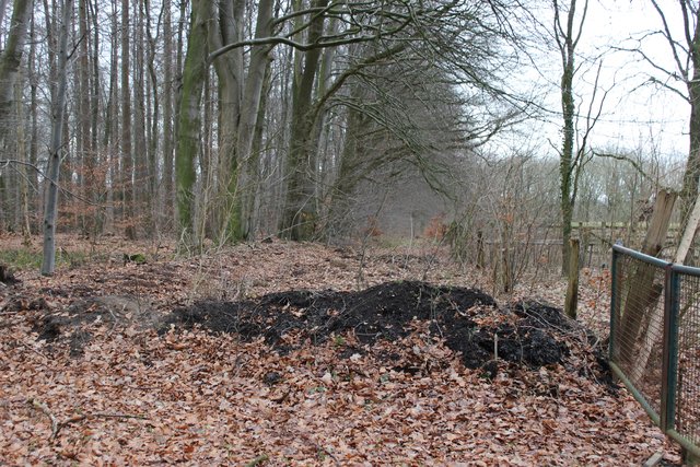 Auch von der anderen Seite ist der Weg weitgehend beseitig