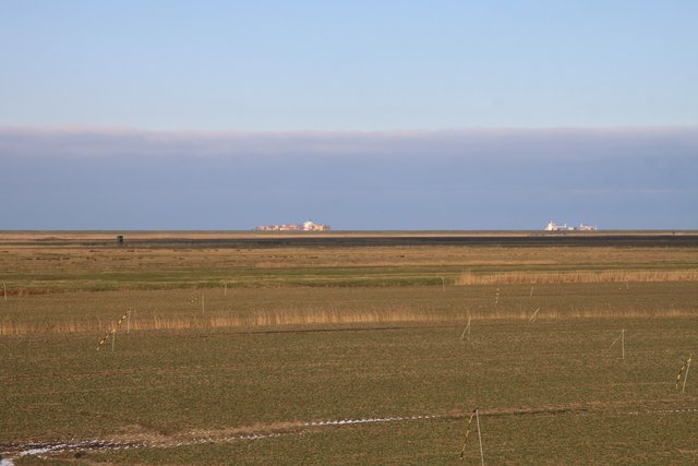 Weites Land mit Elbblick: Nordkehdingen ist Fiona MacMahons Wahlheimat