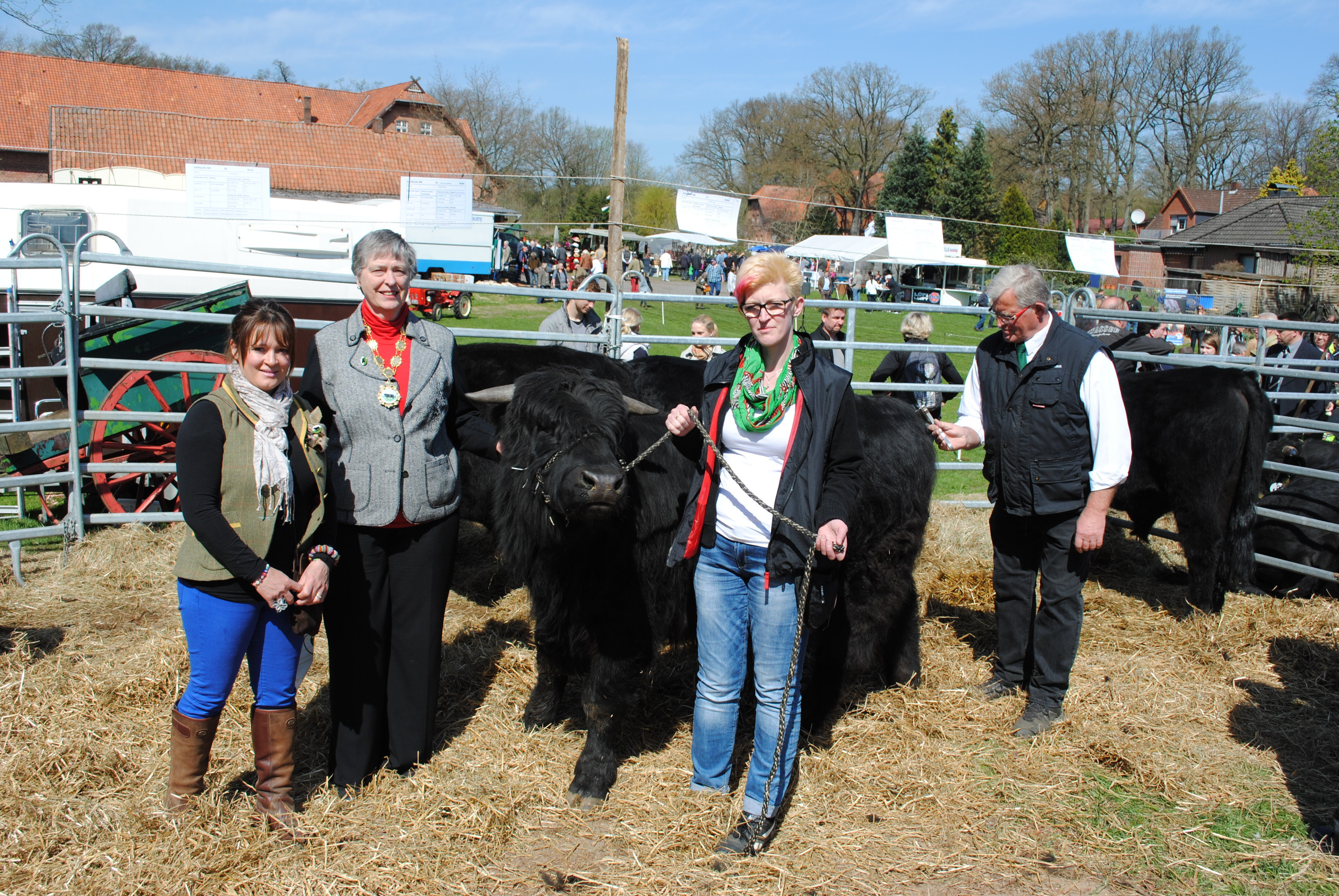 Mit prämiertem Vierbeiner (v. li.): Sally Lloyd, Beth Rees, Jungbulle "Moses", Susanne Maack und ihr Vater Hermann