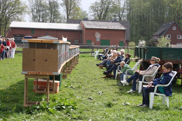 Die Krährufzähler bei der Arbeit