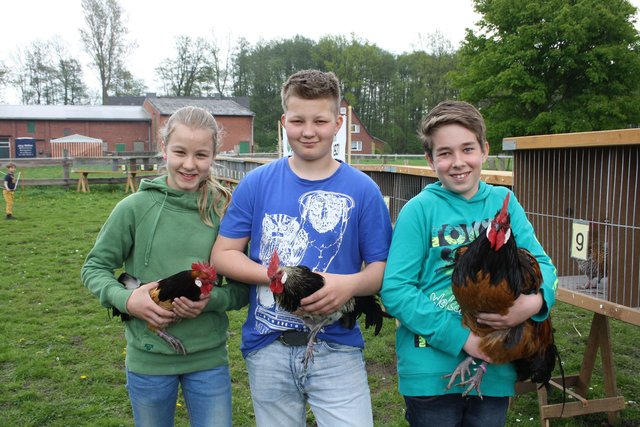 Die jungen machten das Rennen: Sieger Marvin Niemeyer (mitte) mit Aileen Niemeyer und Malte Eggers. Deren Hähne den zweiten und dritten Platz belegten