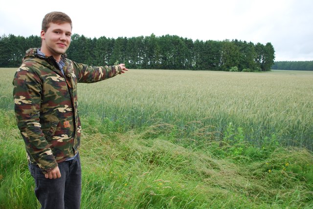 Der Held bei der Suche nach der vermissten Vierjährigen: Pascal Sowa entdeckte das Mädchen in diesem Getreidefeld am Buenser Weg