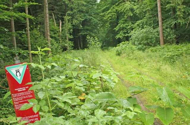Hier beginnt der neue westliche Wegeabschnitt