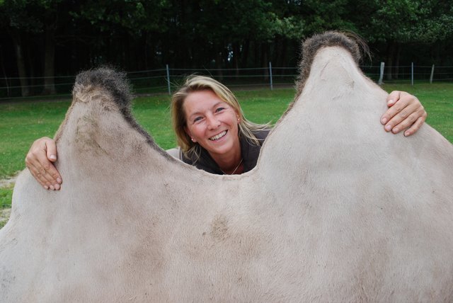 Daniela Huttel betreibt in Handeloh ihre Kameloase, einige Impressionen