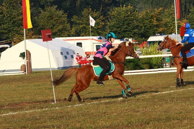 Kim Ingwersen und ihr Pony "Dakila": Die Schülerin aus Wörme reitet, seit sie denken kann