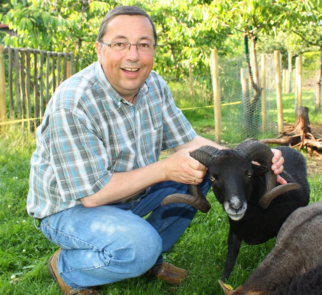 Hat "total Bock auf Schafe": Dieter Tomforde mit Schafsbock "Amboss"