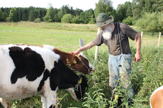 Weder Günter Garbers und schon gar nicht „Schmusi“ interessieren: „Teichen“ und „Knuffel“ konzentrieren sich nur auf das saftig grüne Gras