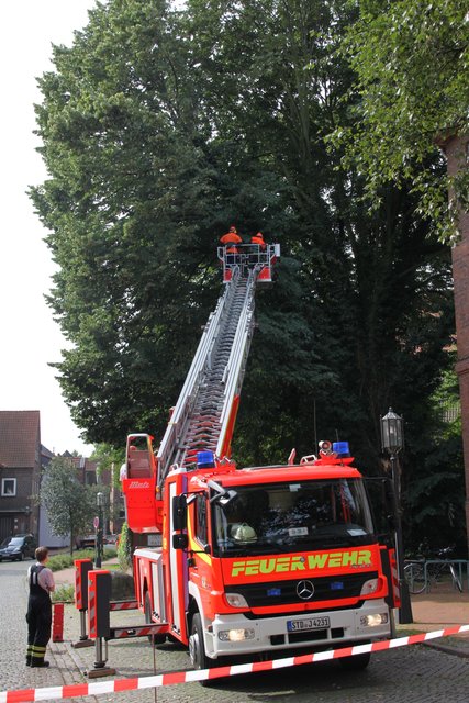 Am Montag nach dem Unwetter schnitten Stader Feuerwehrleute Äste eines beschädigten Baumes an der Seminarstraße zurück | Foto: tp