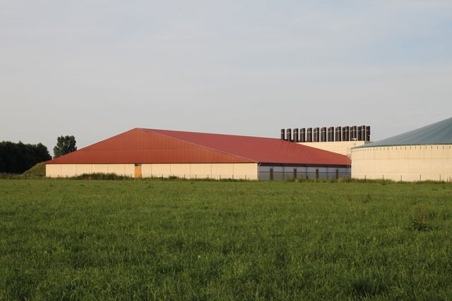 Die riesige Mast-Anlage am Ortsrand von Düdenbüttel, Richtung Heinbockel