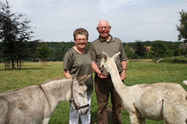 Günter und Margret Poppe mit ihrem Esel Rieke und dem Alpaka Jost