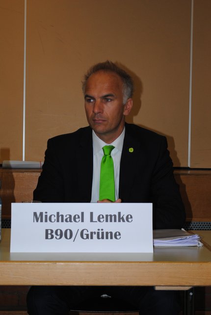 Michael Lemke, Grüne