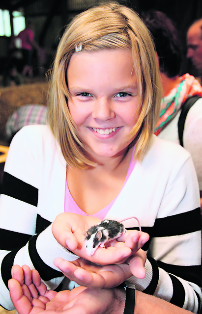 Marieke findet die kleine Rennmaus, die über ihre Hände wuselt, "supersüß".
