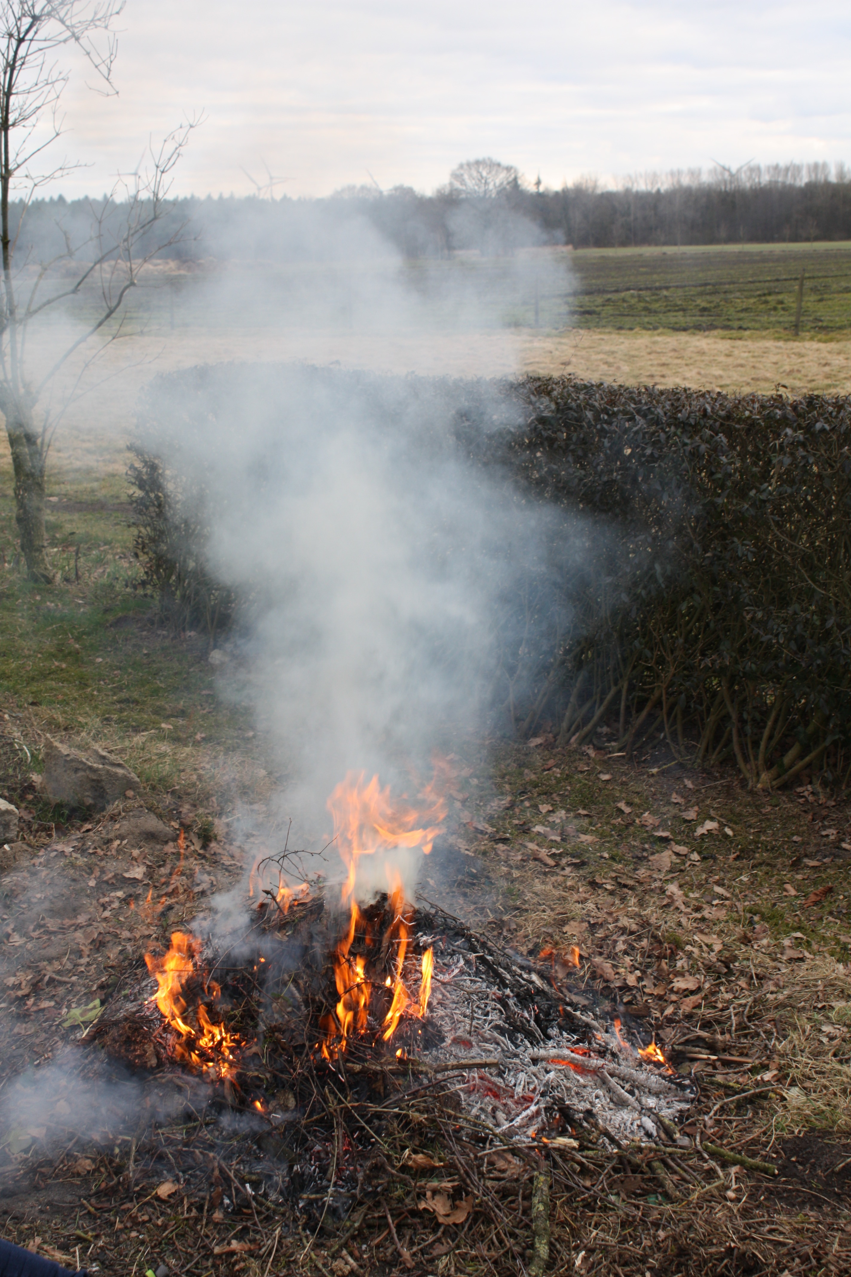 Wenn das Feuerchen im Garten räuchert, kann es passieren, dass die Feuerwehr anrückt