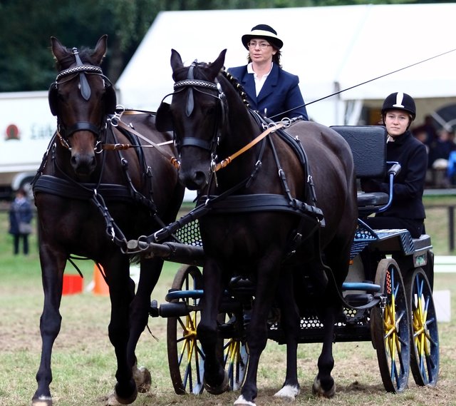 Michaela Parge mit Itou und Iven aus Ramelsloh gewann mit ihrem Zweispänner den "Hotel Holst Cup". Beifahrerin ist die 14-jährige Svea Brinkhoff (re.)
