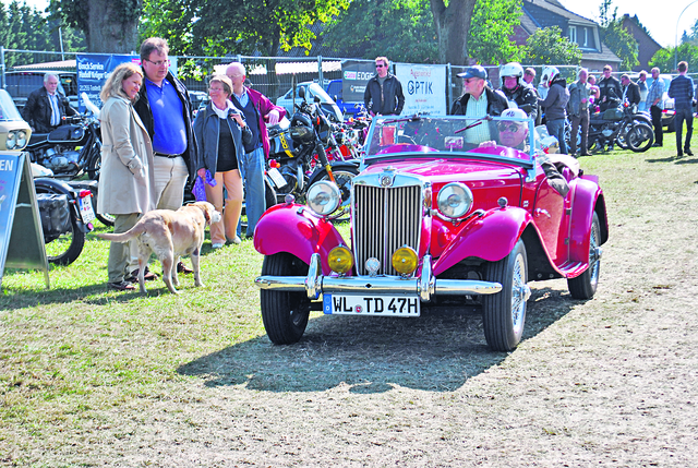 Besonders die ganz „alten Schätzchen“ ziehen die Blicke der Besucher auf sich