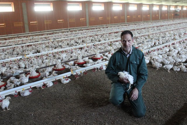 Wie die moderne Hähnchenhaltung aussieht, möchte Landwirt Peter Vollmers seinen Besuchern vorstellen | Foto: oh