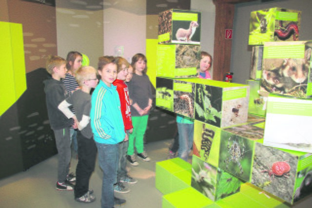 Die interaktiven Ausstellungen im Schwedenspeicher laden zum Mitmachen und Entdecken ein und kommen besonders bei Kindern gut an