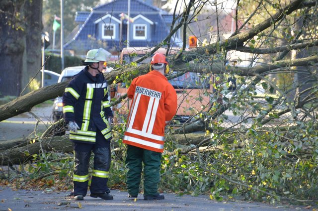 Auch in Wohngebieten musste die Feuerwehr entwurzelte Bäume aus dem Weg räumen | Foto: Polizei
