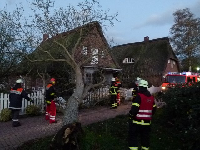 In Bützfleth war dieser Baum auf ein Haus gestürzt | Foto: Feuerwehr Bützfleth