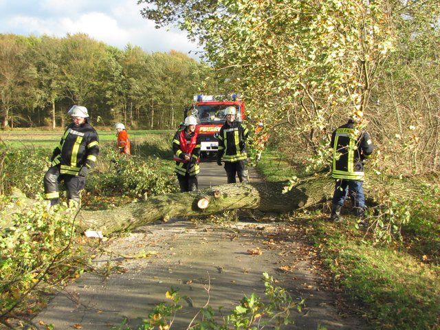 Feuerwehrleute räumten bei Oldendorf-Kaken umgestürzte grüne Riesen von der Straße | Foto: Feuerwehr Oldendorf