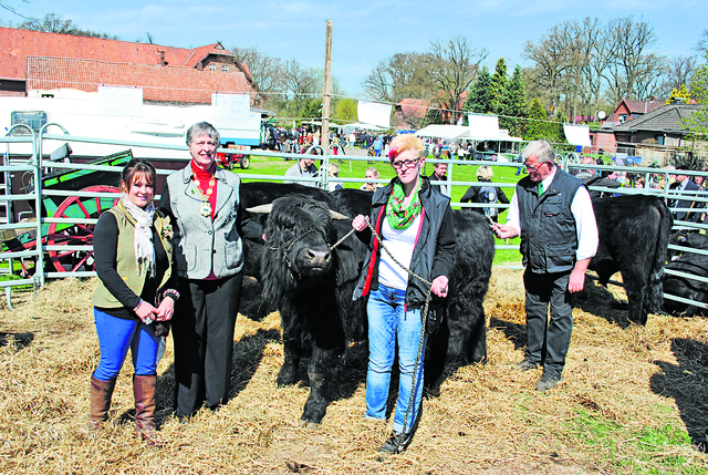Großer Augenblick: Auf dem jüngsten Schüttenhof-Tag kürten (v. li.) Sally Lloyd und Beth Rees vom englischen Welsh-Black-Verband den Vierbeiner "Moses" von Susanne Maack und Vater Hermann als besten Jungbullen | Foto: archiv