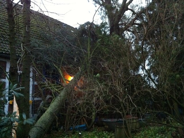 Foto: Feuerwehr SG Lühe