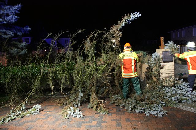 Auch dieser Baum hielt dem Sturm nicht stand | Foto: Feuerwehr