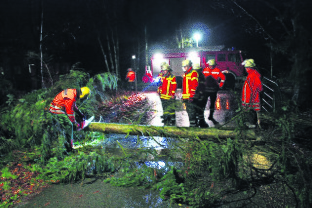 Die Feuerwehren waren bis in den späten Freitagvormittag im Einsatz, um Bäume von der Straße zu holen | Foto: Feuerwehr