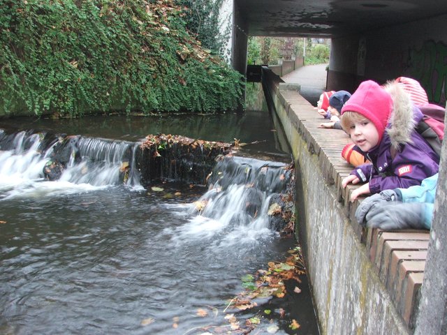 Auf dem Weg zum Toom durch die Brunkhorstschen Wiesen gibt es viel zu entdecken | Foto: Waldkindergarten Ottensen