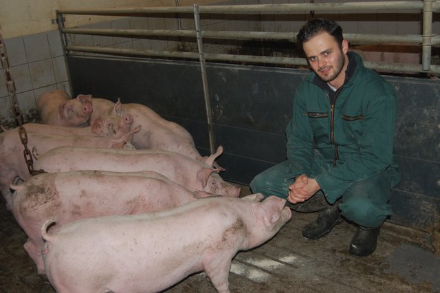 Derzeit hält Stefan Becker rund 450 Schweine, künftig sollen es zusammen 1.440 sein