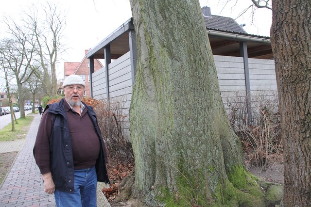 Hartmut Schröder am mächtigen Stamm der alten Eiche. Er stellt die Fäll-Pläne in Frage