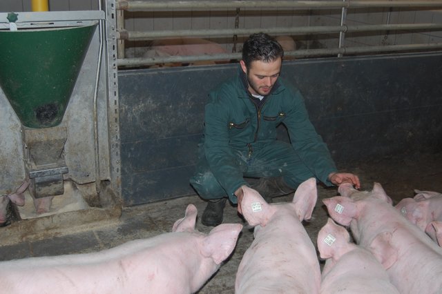 Im Sommer schließt Stefan Becker sein Agrarstudium ab, danach will er im elterlichen Betrieb anfangen - und einen neuen Schweinemaststall bauen | Foto: Becker