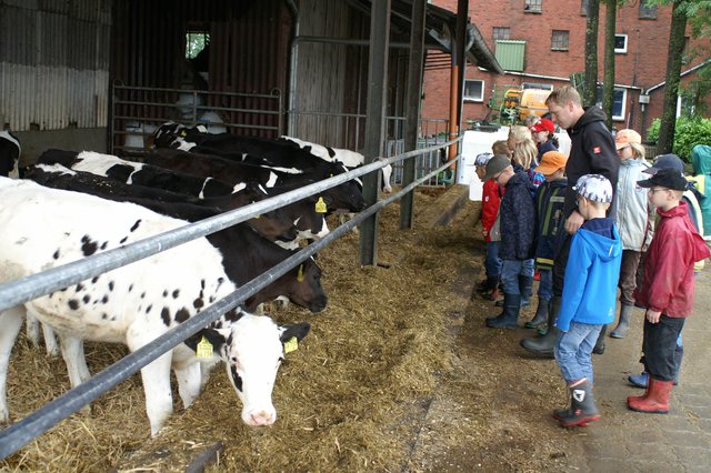 Exkursion zu einem Milchvieh-Betrieb | Foto: oh