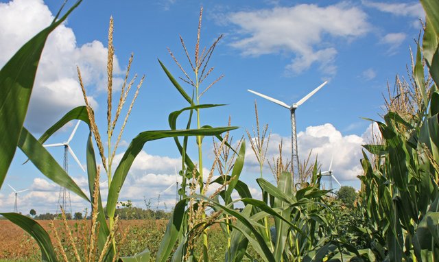 Künftig sollen erheblich mehr Fördergelder in Agrar-Umweltprojekte fließen