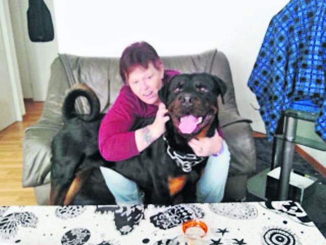 Mit diesem Foto wird der Rottweiler „Hannibal“ im Internet bei Ebay-Kleinanzeigen angeboten