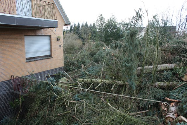 Als hätte hier ein Orkan gewütet: Der Garten lässt sich nicht mehr betreten