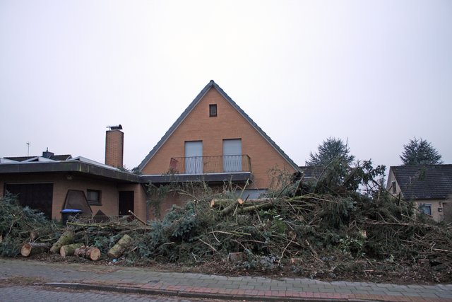 Der Fußweg ist akkurat gereinigt. Das Holz liegt nur auf dem Grundstück des Rentners
