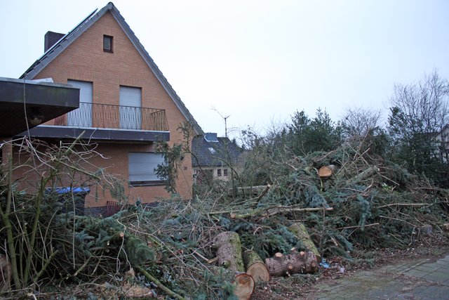 Nach der Baumfällaktion wurden die Stämme und das Geäst rund ums Haus aufgeschichtet