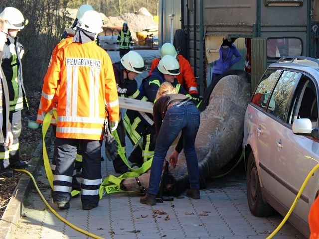 Bei der Rettung des eingeklemmten Pferdes halfen Feuerwehrleute und e4ine Tierärztin | Foto: Feuerwehr Wiegersen