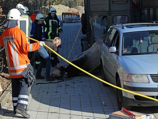 Foto: Feuerwehr Wiegersen