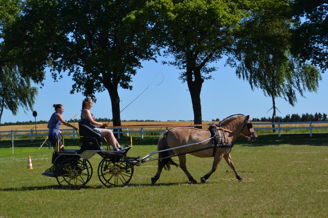 Foto: Lena Oelkers, Wenzendorf