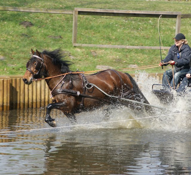 Foto: Anja Bruhns, Stelle