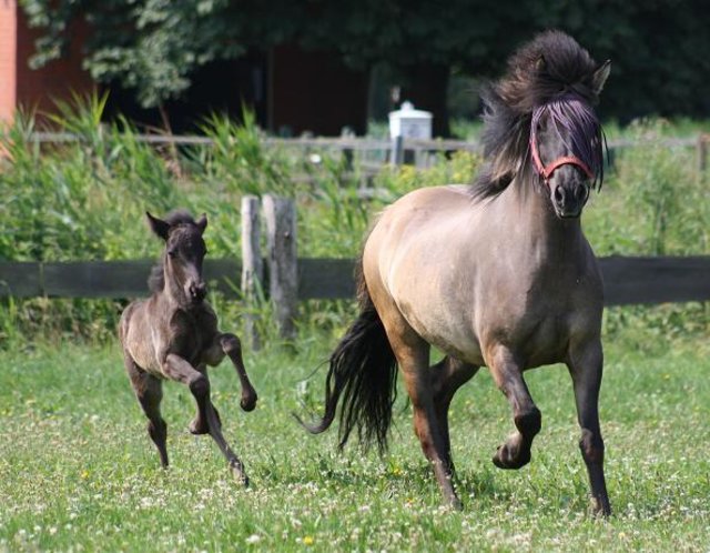 Foto: Kim-Kathrin Koch, Tespe