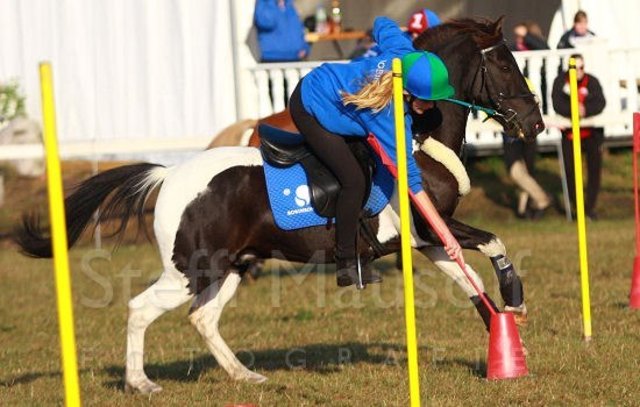 Foto: Jana Radtke, Rosengarten