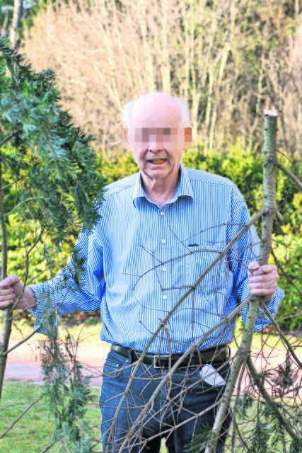 Diese Äste wurden von der 22 Meter hohen Tanne abgeschnitten
