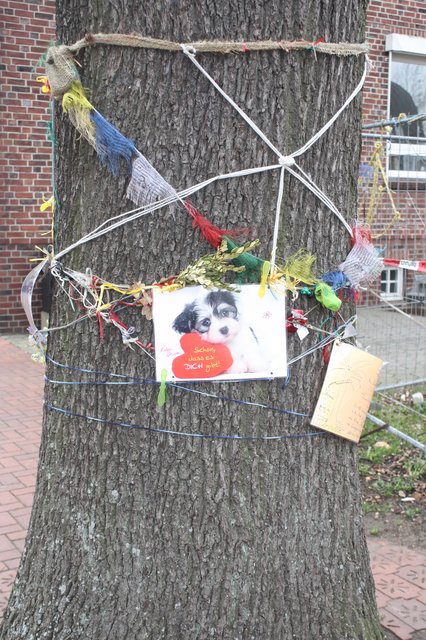 Auch an dem Baum selbst wurden die Werke angebracht