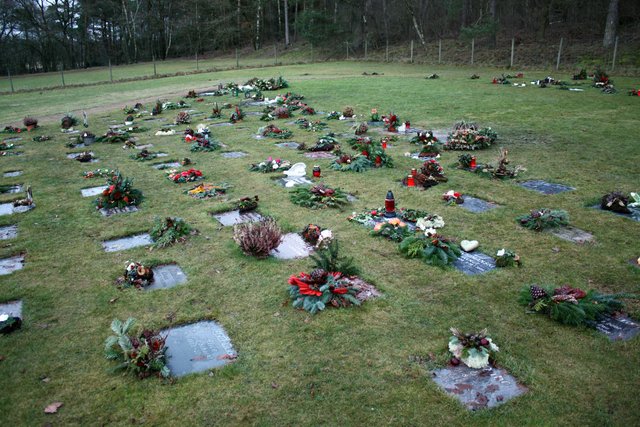 Schlichtgräber auf einer Rasenfläche gibt es in Harsefeld seit Längerem. Nun soll eine Bestattung unter Bäumen hinzukommen